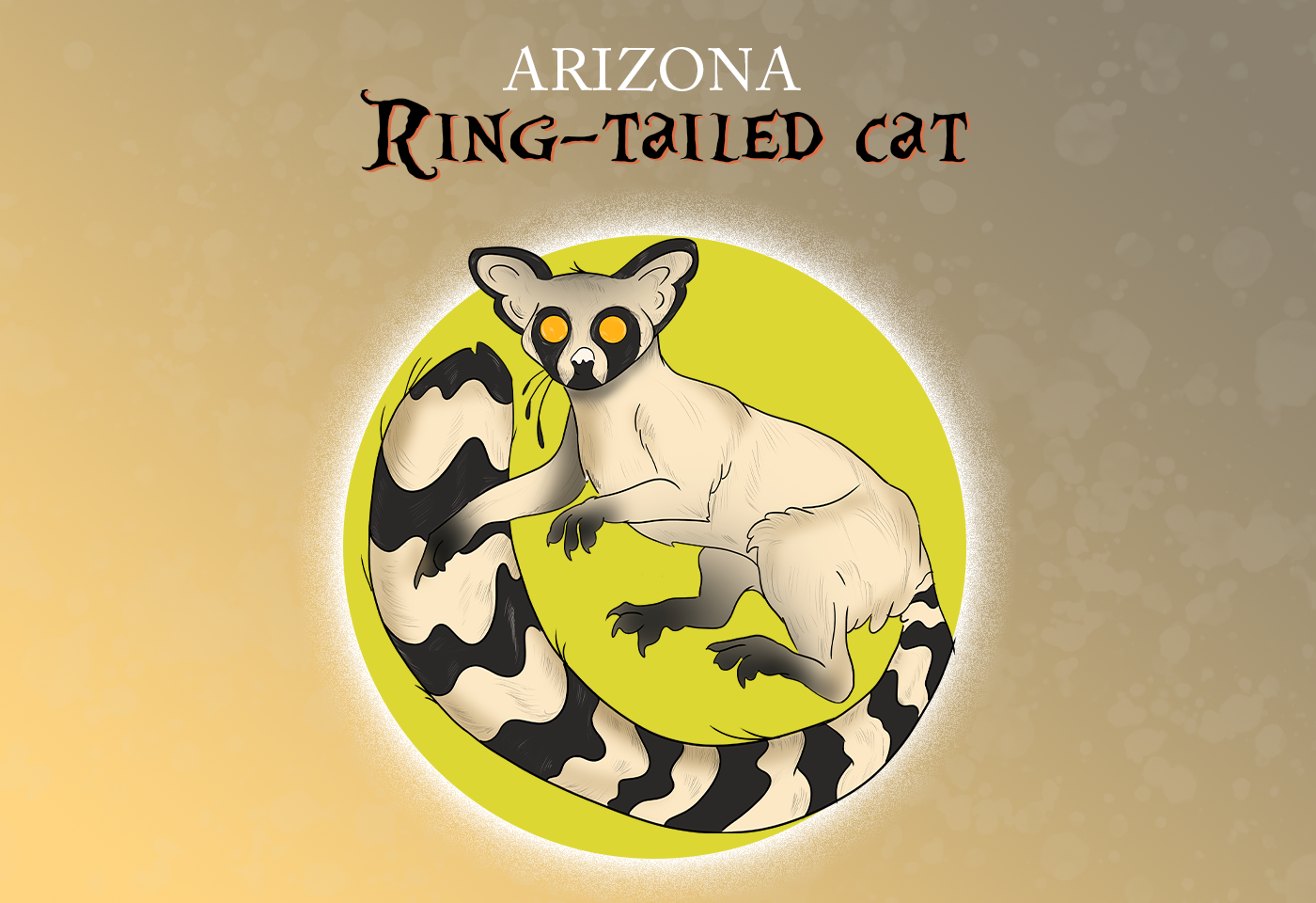 Arizona state mammal: Ringtail cat 