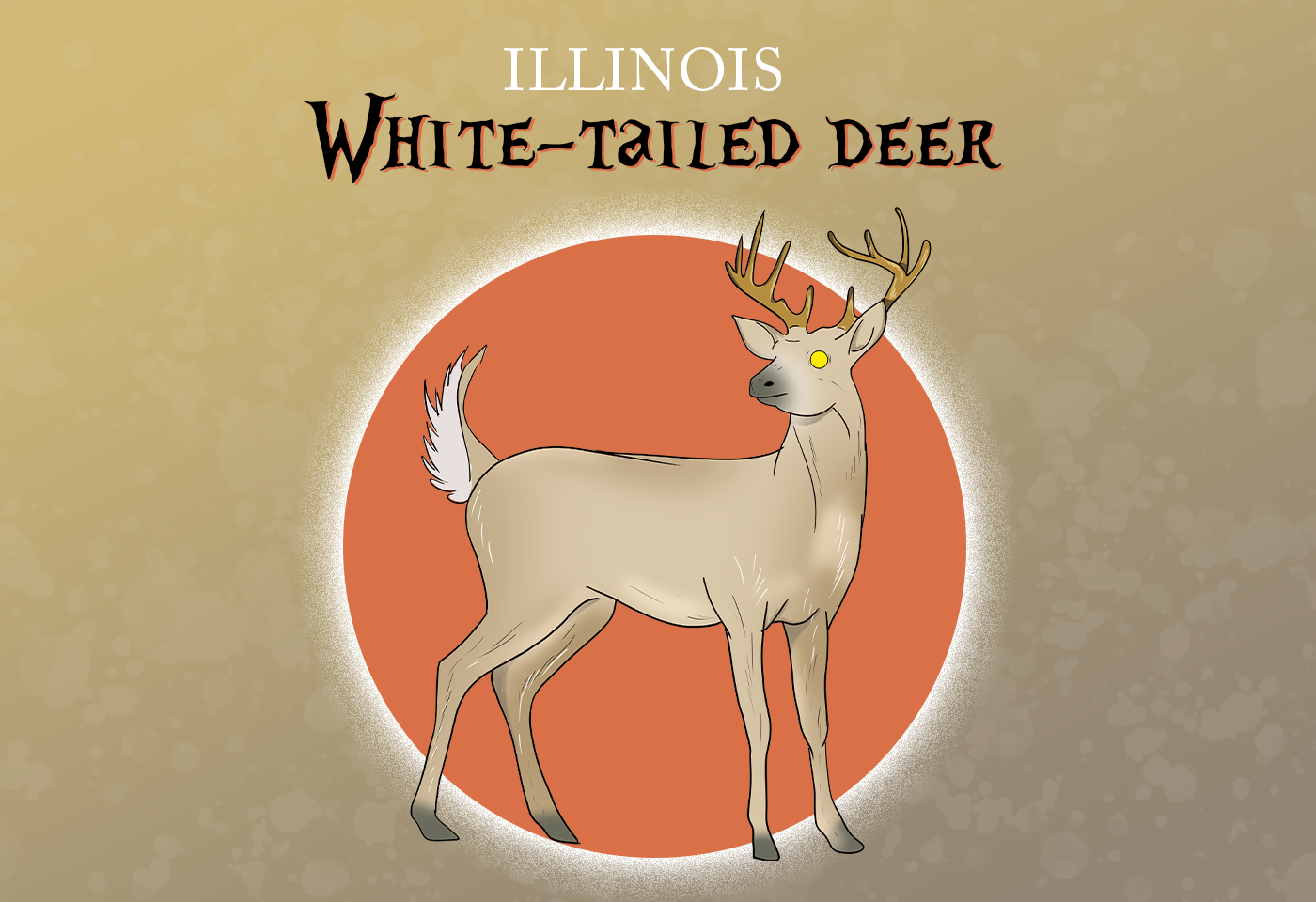 White-tailed Deer Illinois State Animal