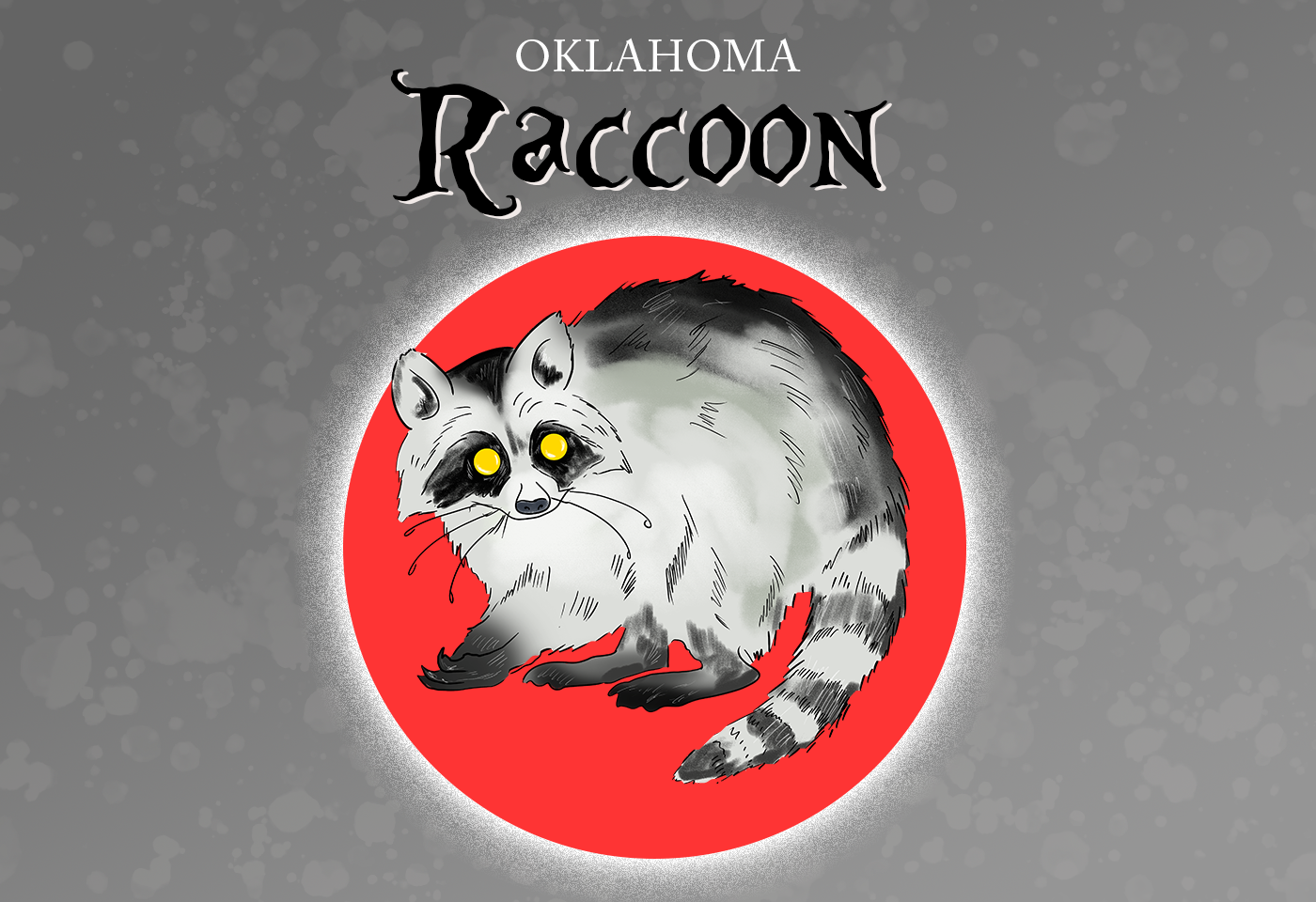 Raccoon Oklahoma State Furbearer Animal