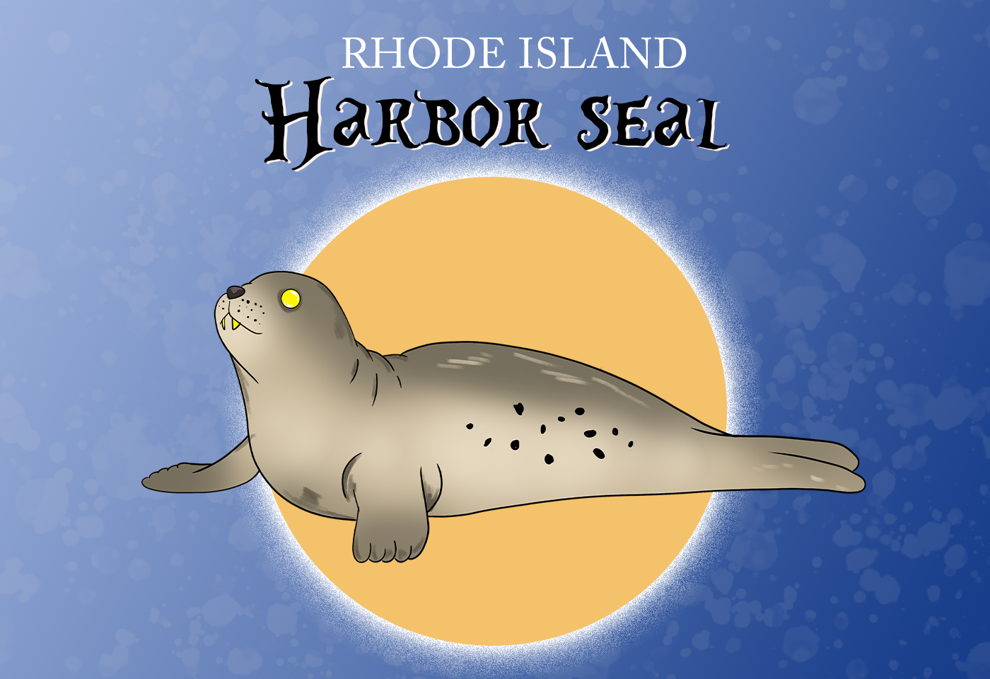 Harbor Seal Rhode Island State Marine Mammal