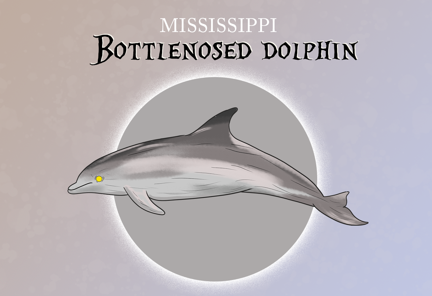 Bottlenosed dolphin :Mississippi state marine animal 