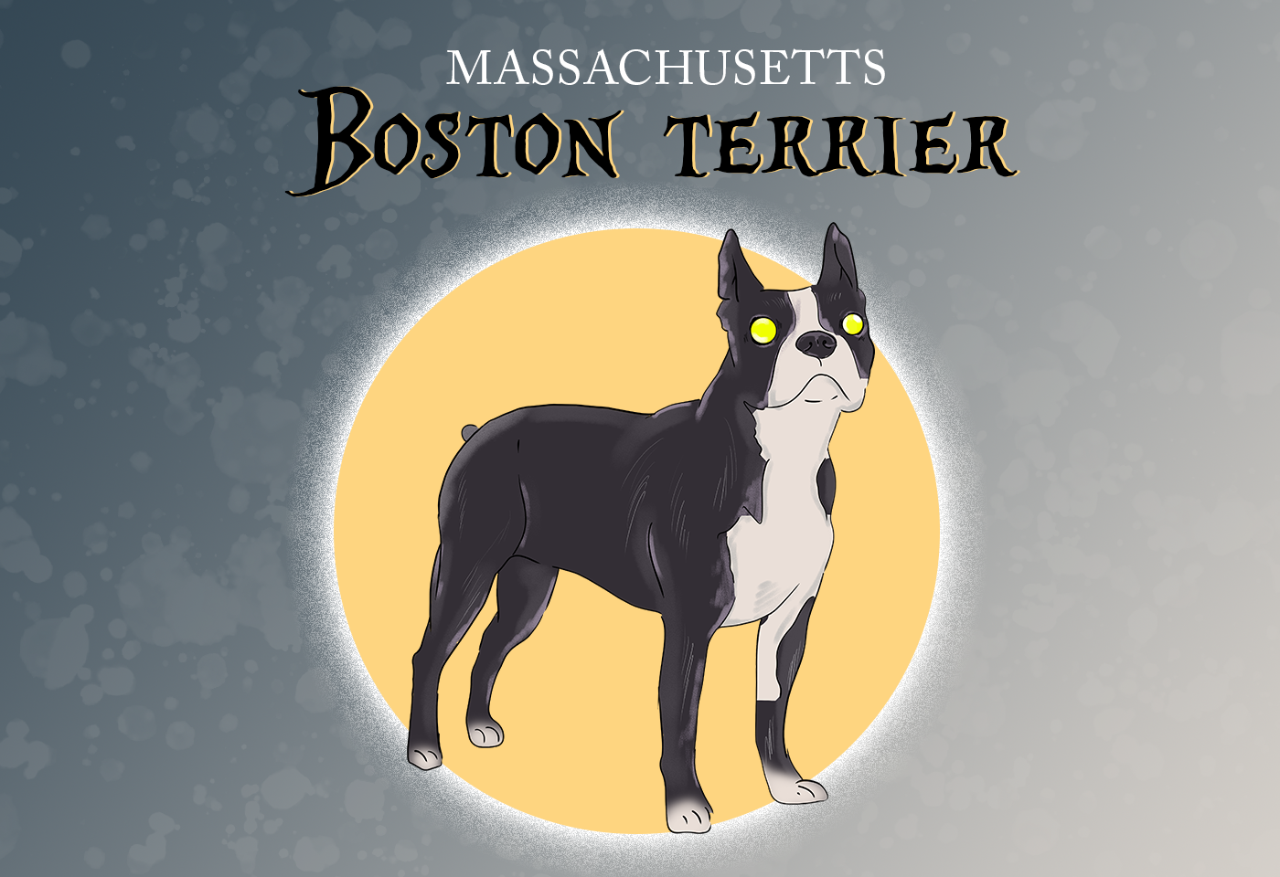 Boston Terrier Massachusetts State Dog
