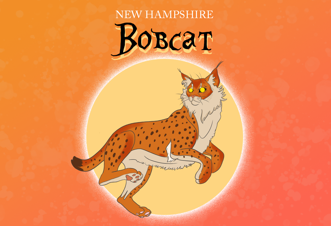 Bobcat New Hampshire State Wildcat