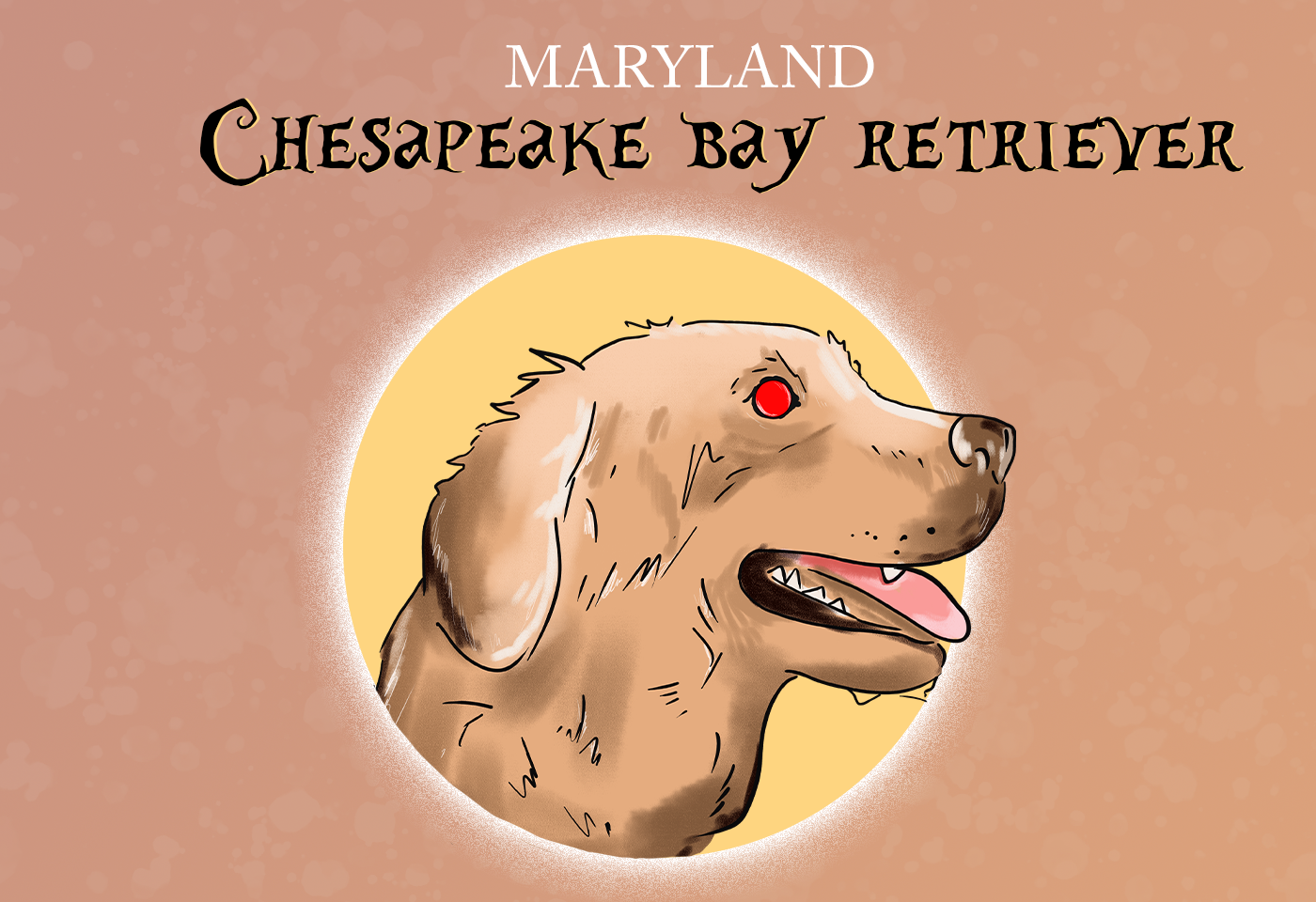 Chesapeke Bay Retriever maryland official state animal 