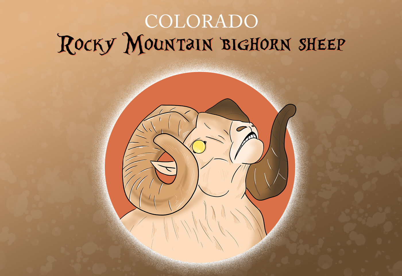 Colorado state mammal: rocky mountain bighorn sheep 