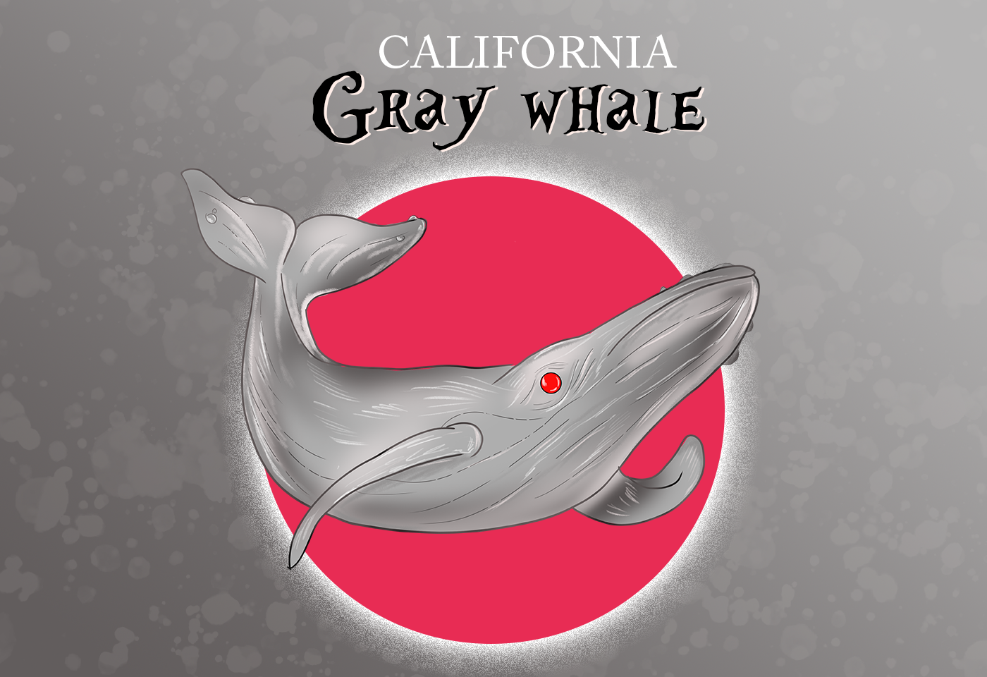 California state marine mammal: gray whale 