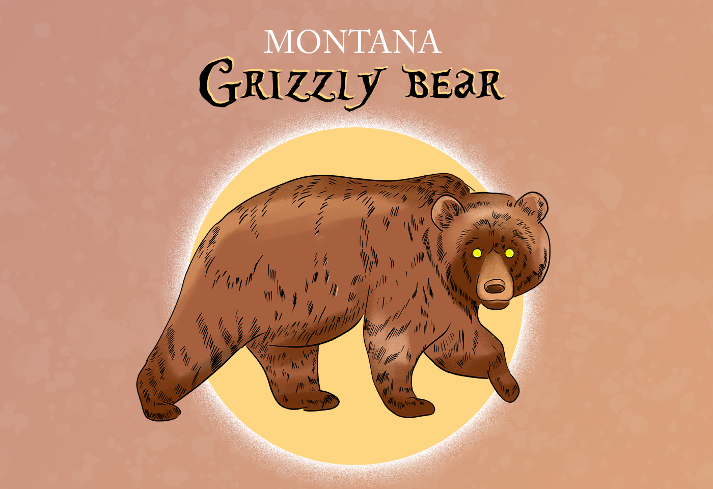 Grizzly Bear Montana State Animal