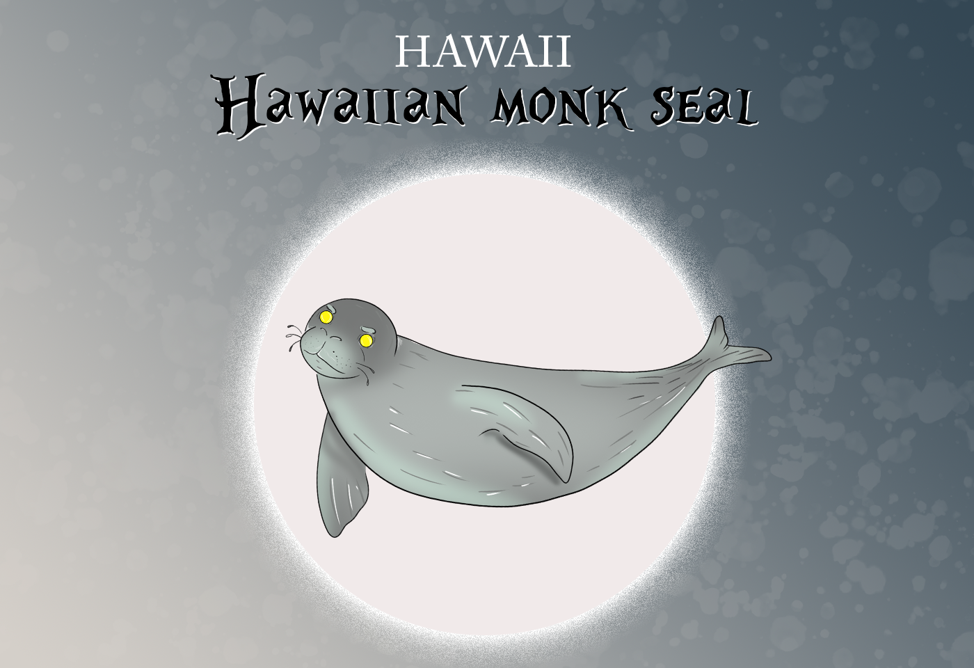 Hawaiian Monk Seal Hawaii State Mammal