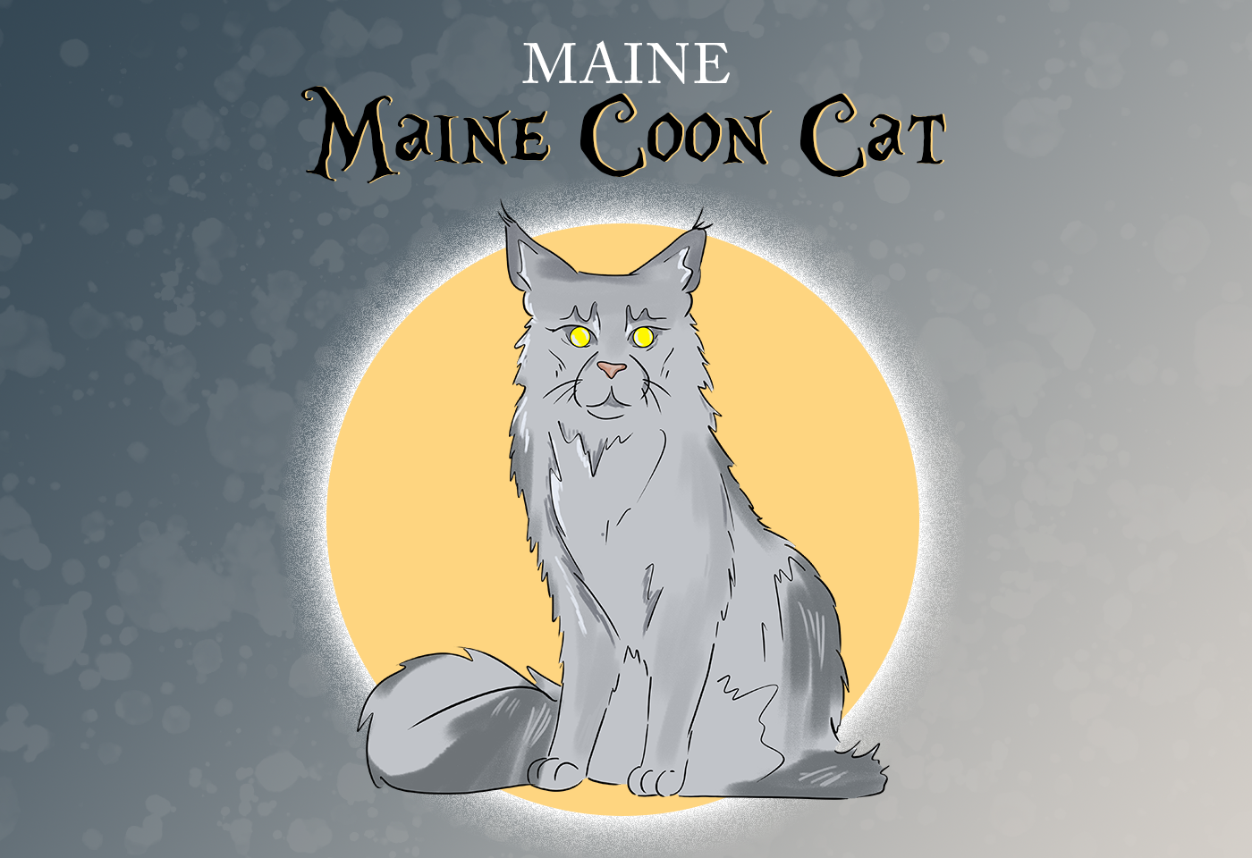 Maine Coon Cat Maine State Cat