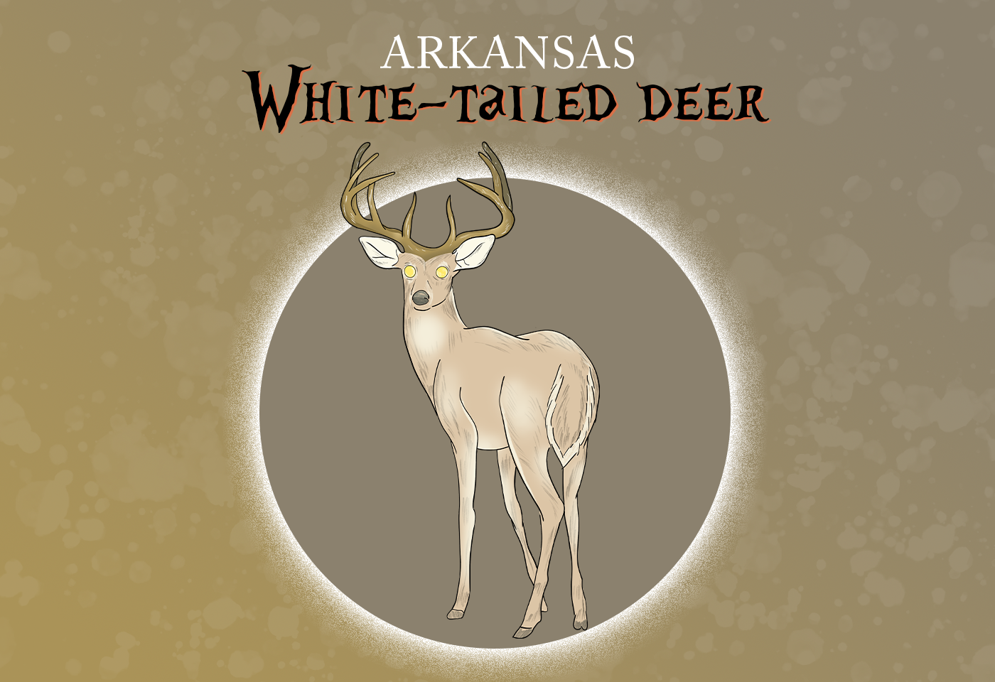 Arkansas state mammal: white-tailed deer 