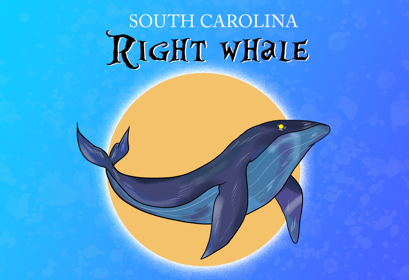 Northern Right Whale South Carolina State Migratory Marine Mammal